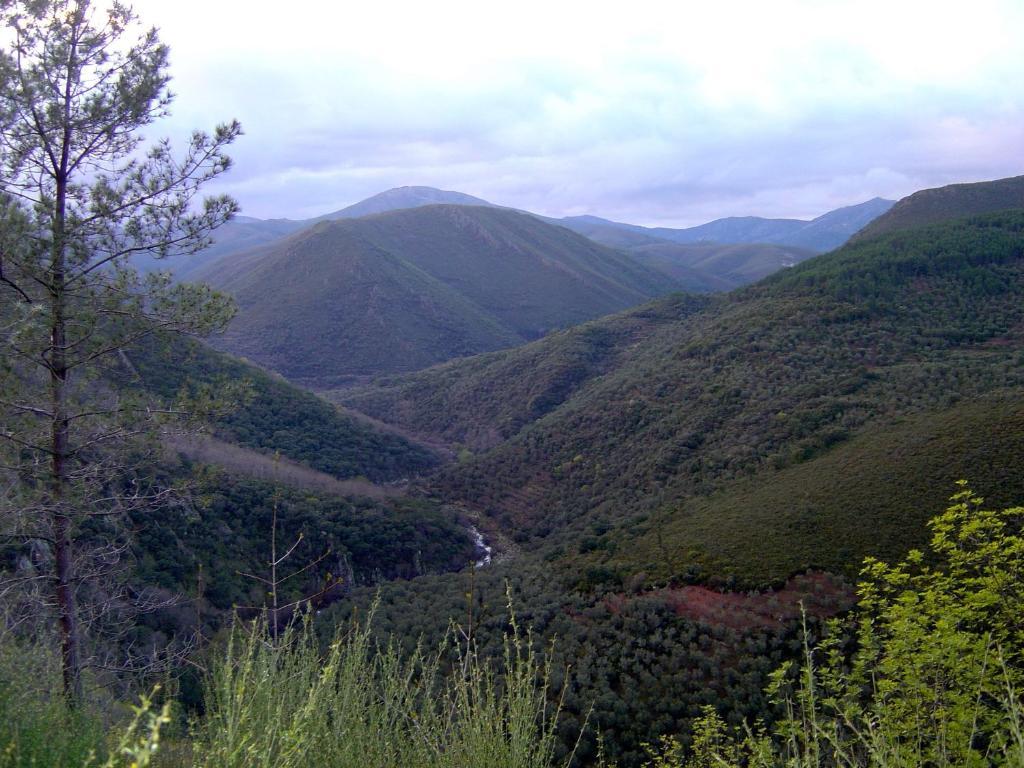 Alojamientos La Herrera San Esteban de la Sierra Camera foto
